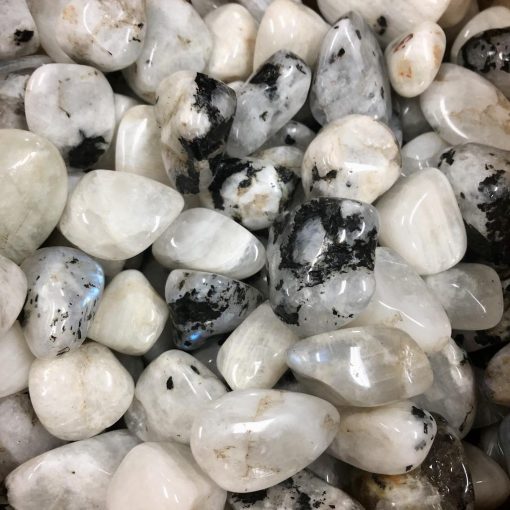 Rainbow Moonstone | Tumble Stones | Sacred Earth Crystals | Wholesale Crystal Shop | Brisbane | Australia