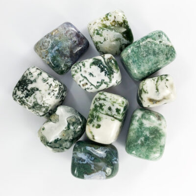 Tree Agate| Tumble | Sacred Earth Crystals | Wholesale Crystals | Brisbane | Australia