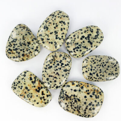 Dalmatian Jasper | Smooth Stone | Sacred Earth Crystals | Wholesale Crystals | Brisbane | Australia