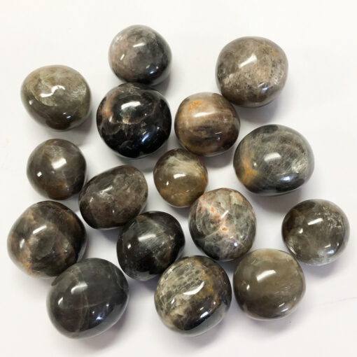 Black Moonstone | Tumbles | Sacred Earth Crystals | Wholesale Crystals | Brisbane | Australia