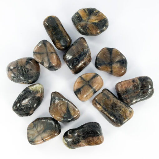 Chiastolite | Tumbles | Sacred Earth Crystals | Wholesale Crystals | Brisbane | Australia