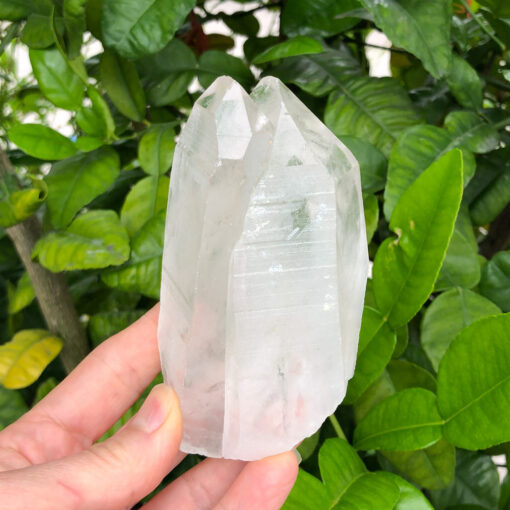 Lemurian Quartz | Sacred Earth Crystals | Wholesale Crystal Shop | Brisbane | Australia