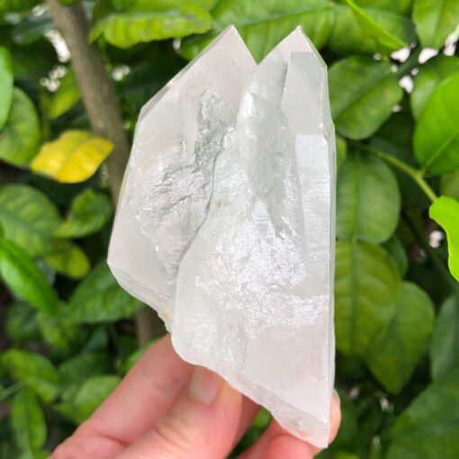 Lemurian Quartz | Sacred Earth Crystals | Wholesale Crystal Shop | Brisbane | Australia