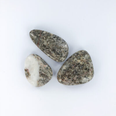 Wheat Fossil | Smooth Stone | Sacred Earth Crystals | Wholesale Crystal Shop | Brisbane | Australia