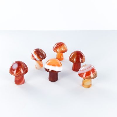 Carnelian | Mini Mushroom | Sacred Earth Crystals | Wholesale Crystal Shop | Brisbane | Australia