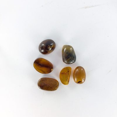 Blue Amber | Natural Specimen | Sacred Earth Crystals | Wholesale Crystals | Brisbane | Australia