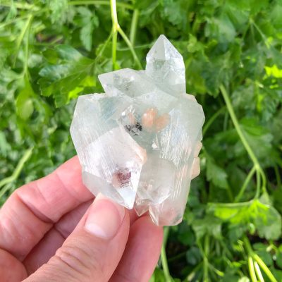 Apophyllite | Cluster | Sacred Earth Crystals | Wholesale Crystals | Brisbane | Australia