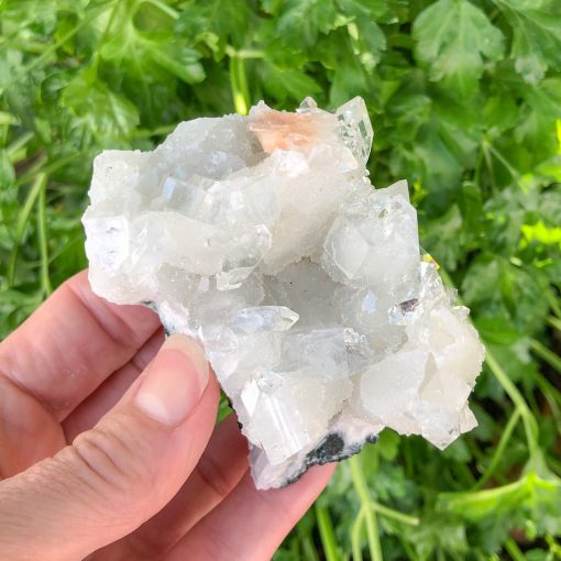 Apophyllite | Cluster | Sacred Earth Crystals | Wholesale Crystals | Brisbane | Australia