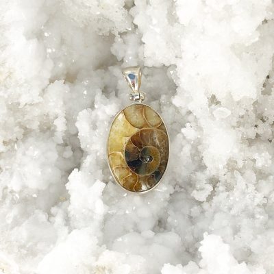 Ammonite | Stirling Silver Pendant | Sacred Earth Crystals | Wholesale Crystals | Brisbane | Australia