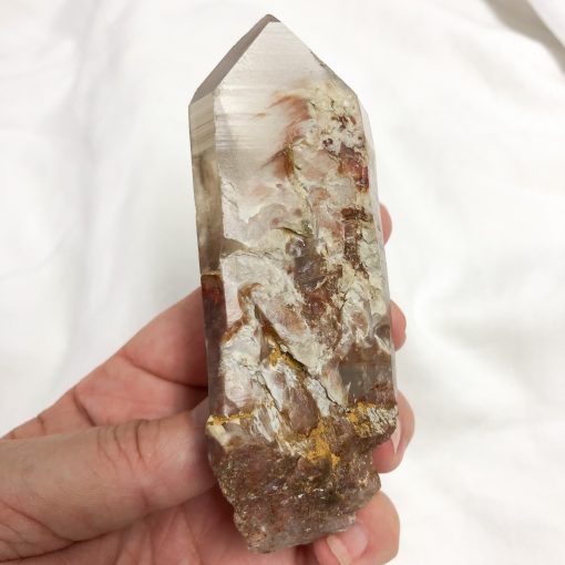 Angel Wing Phantom (Amphibole) | Sacred Earth Crystals | Wholesale Crystal Shop | Brisbane | Australia