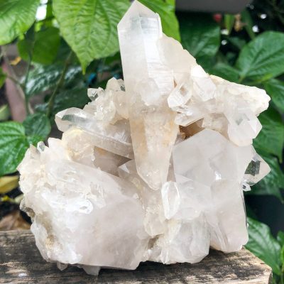 Clear Quartz | Cluster ( Arkansas ) | Sacred Earth Crystals | Wholesale Crystals | Brisbane | Australia