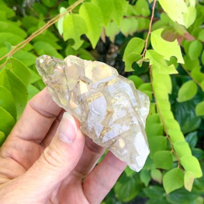 Elestial | Smokey Quartz | Sacred Earth Crystals | Wholesale Crystals | Brisbane | Australia