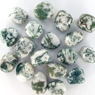 Tree Agate | Tumble | Sacred Earth Crystals | Wholesale Crystal Shop | Brisbane | Australia